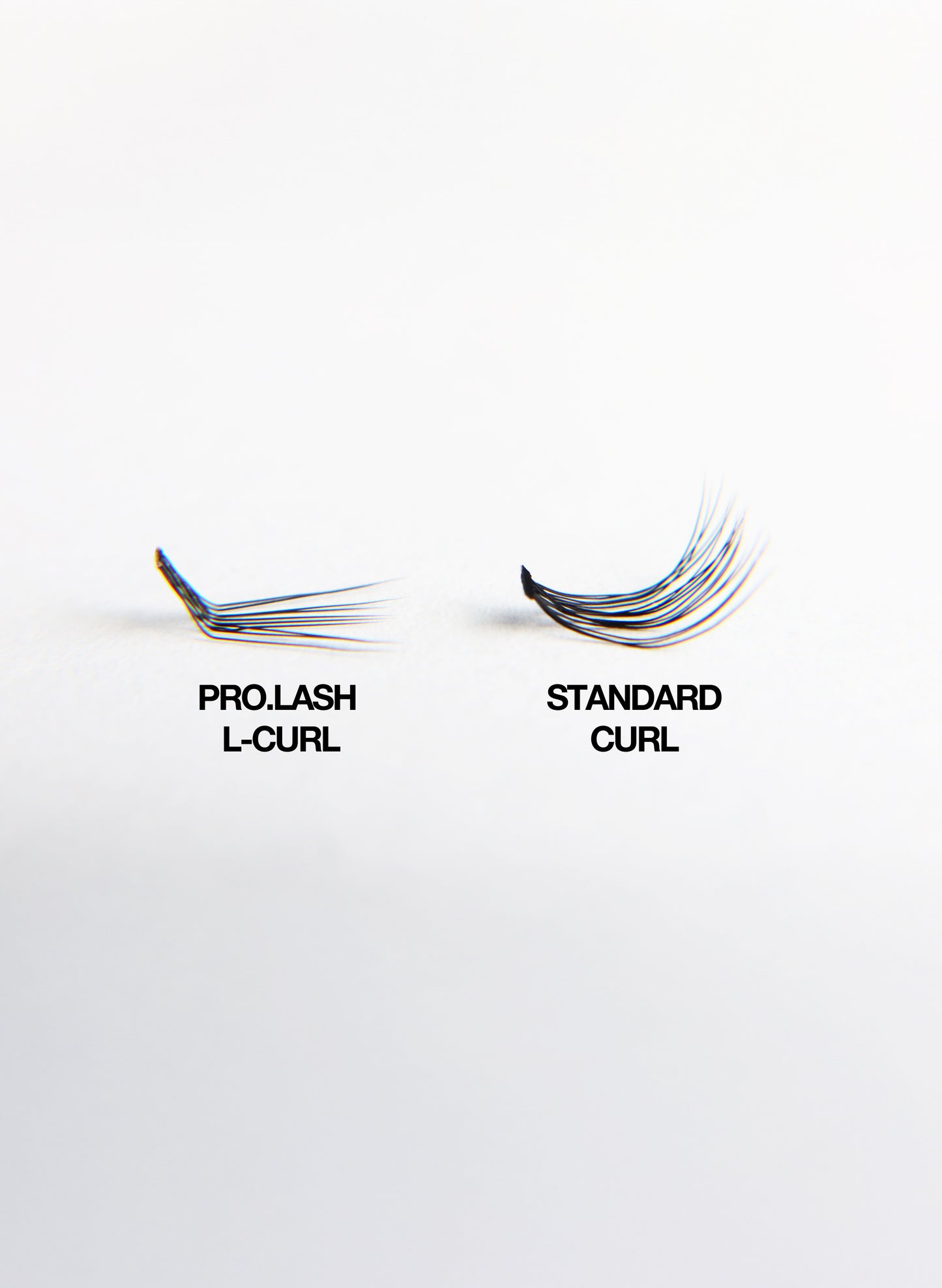 PRO.LASH: L CURL - ALL 4 LENGTHS