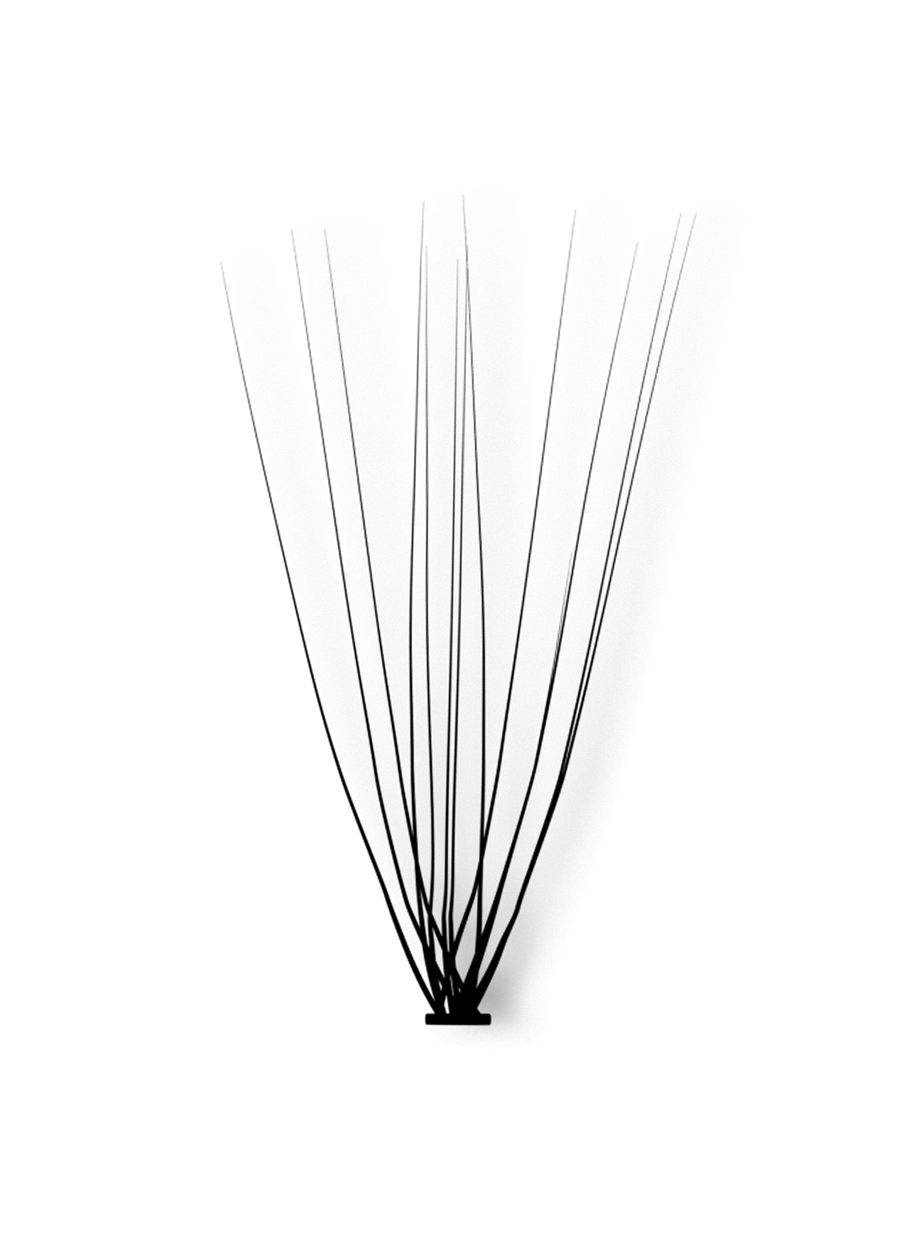 PRO.LASH: L CURL