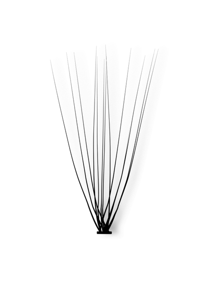 PRO.LASH: L CURL
