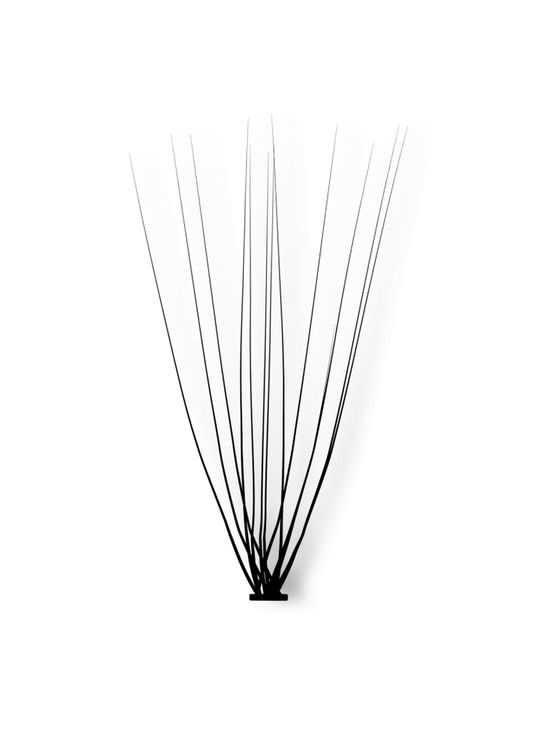 PRO.LASH: L CURL