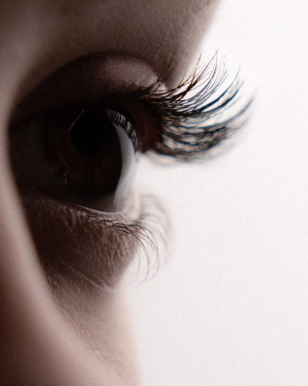 PRO.LASH: LIGHT