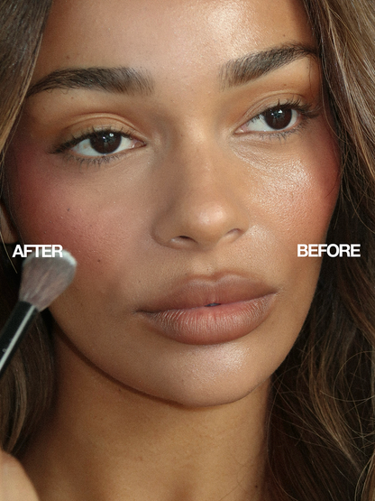 THE COMPLETE BRUSH SET