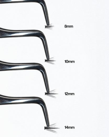 PRO.LASH: SPIKE