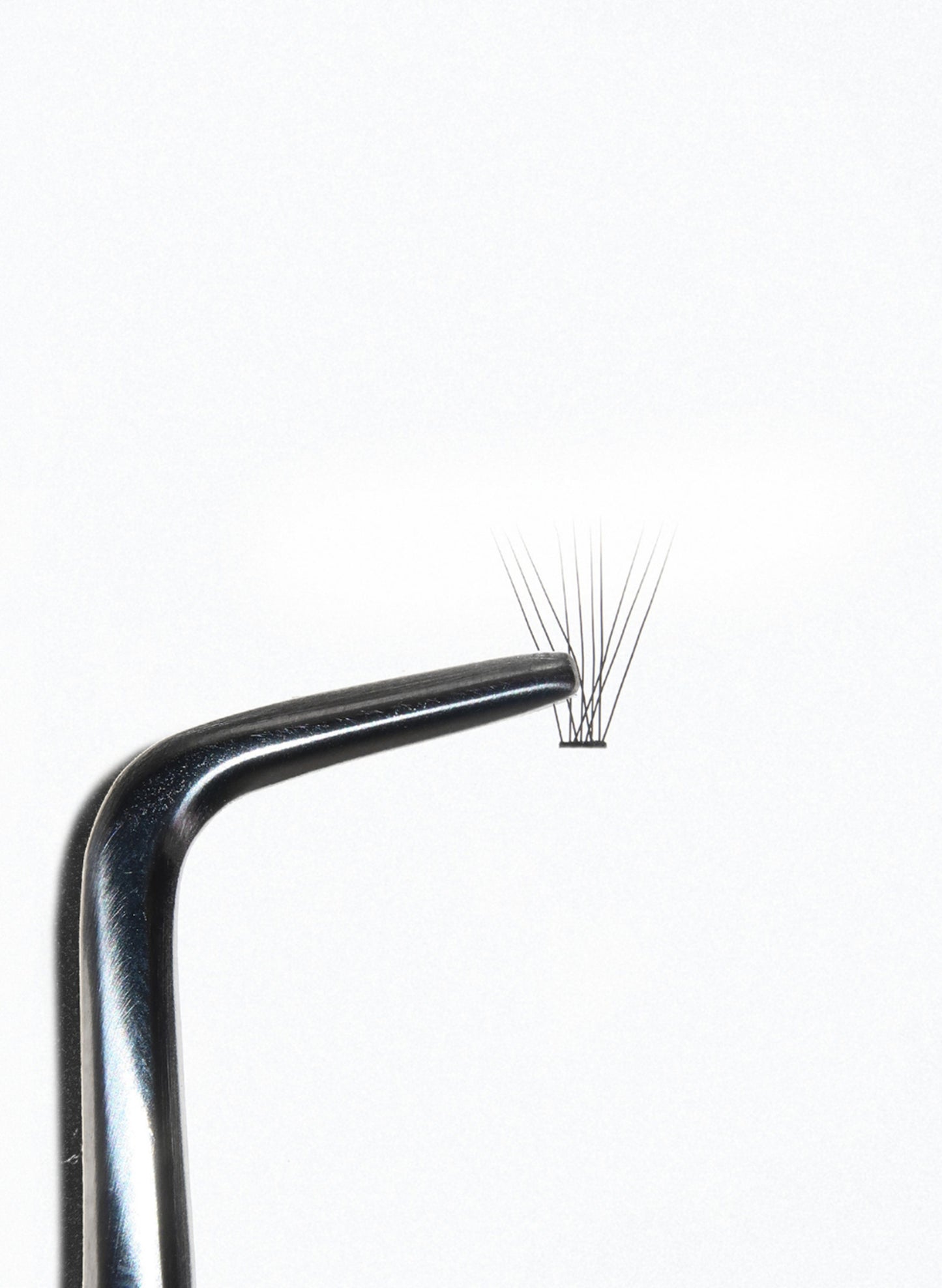 PRO.LASH: L CURL