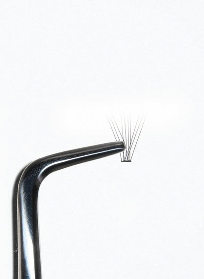 PRO.LASH: L CURL