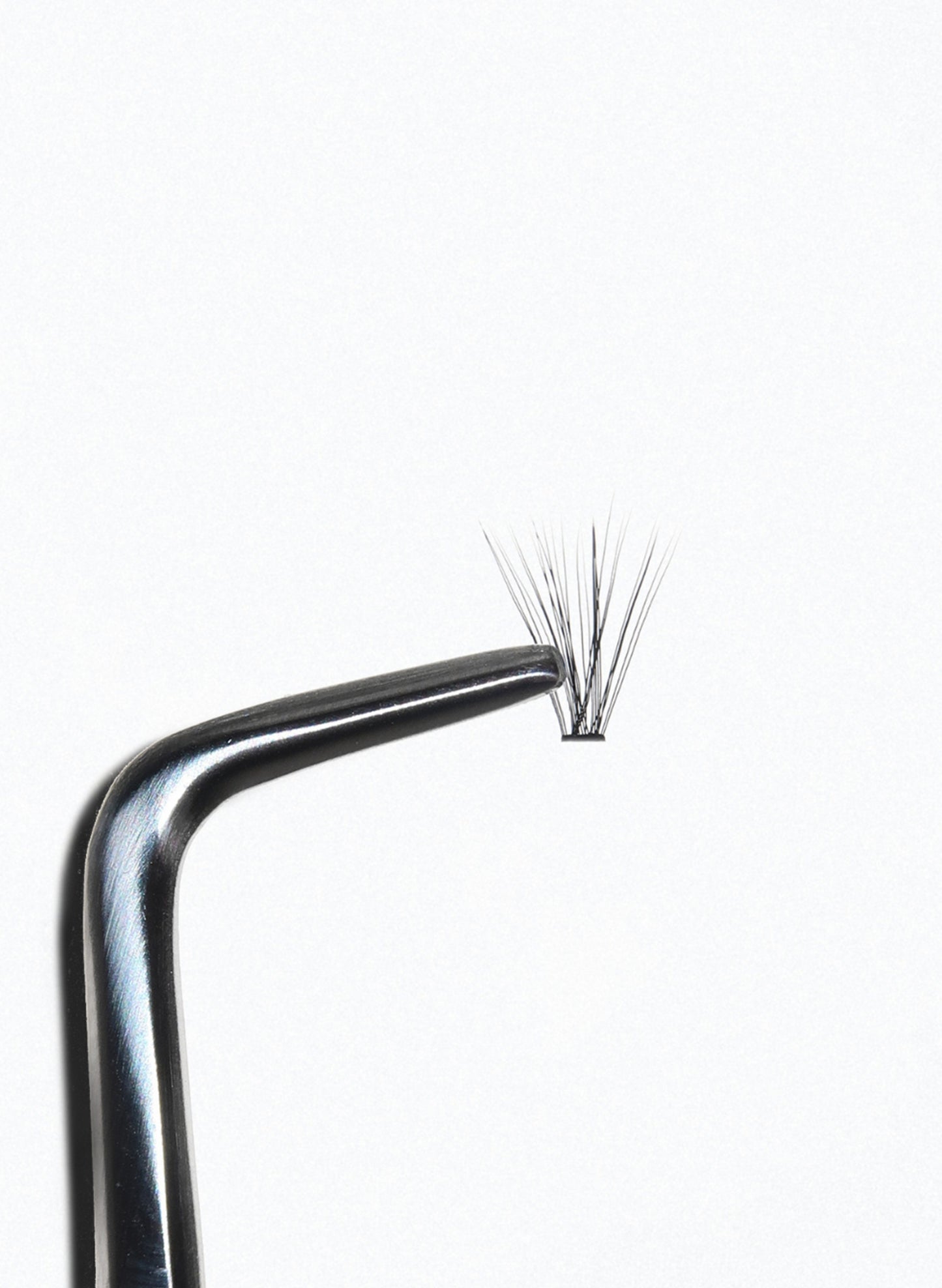 PRO.LASH: L-CURL THICK