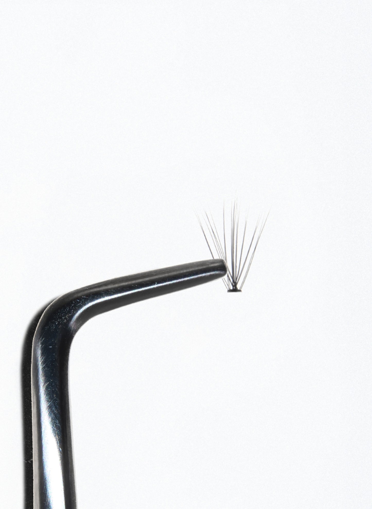 PRO.LASH: LIGHT