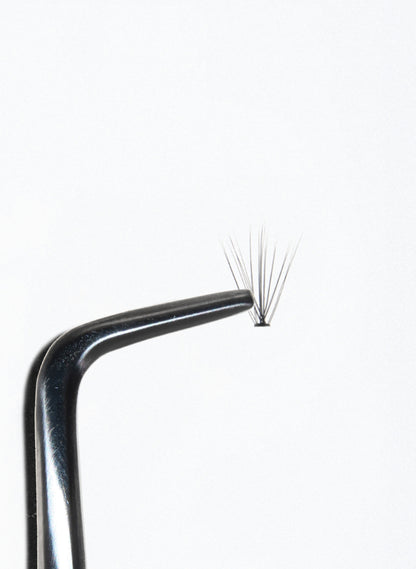 PRO.LASH: LIGHT