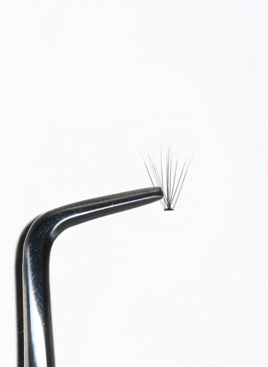 PRO.LASH: LIGHT