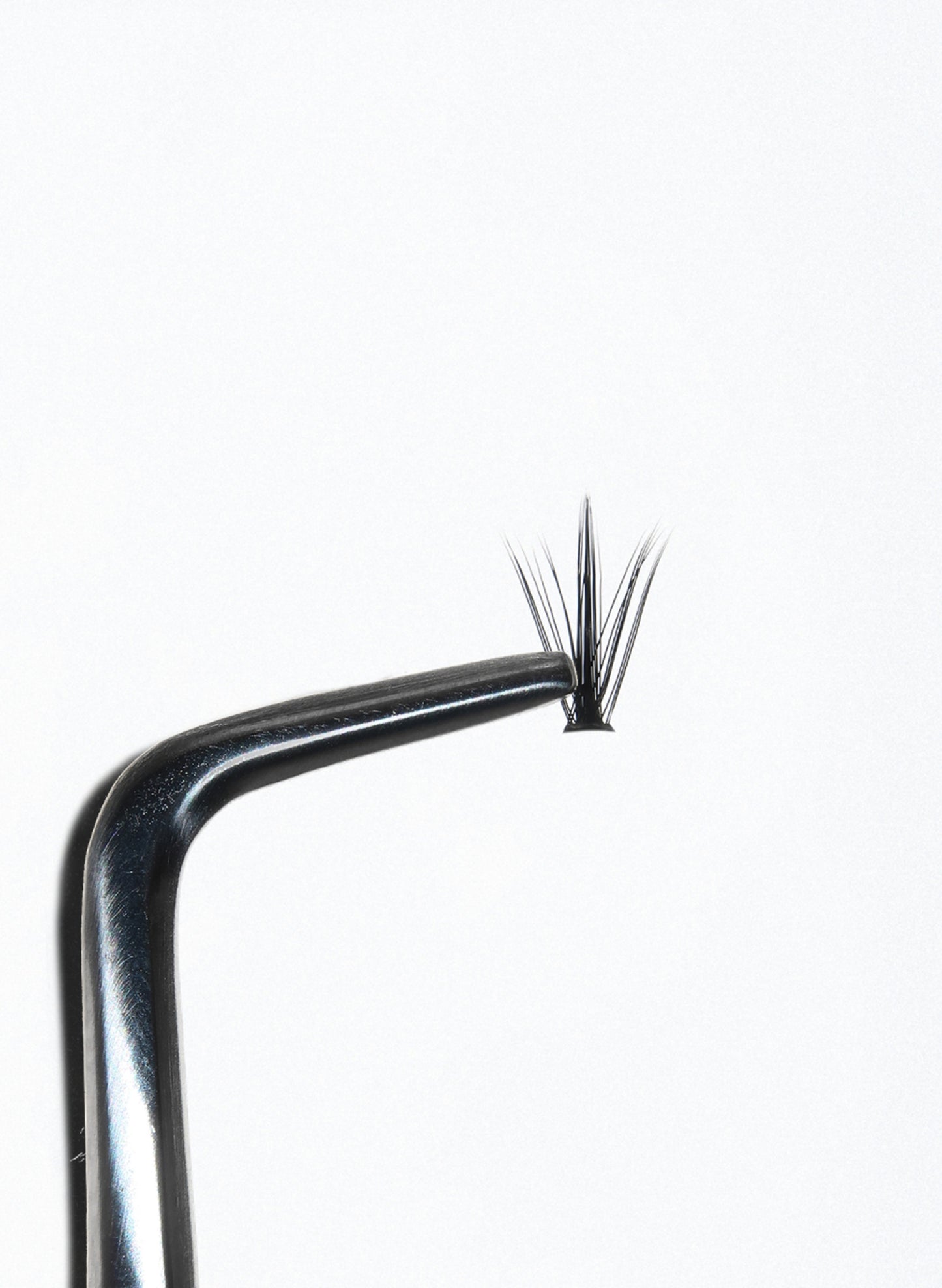 PRO.LASH: SPIKE