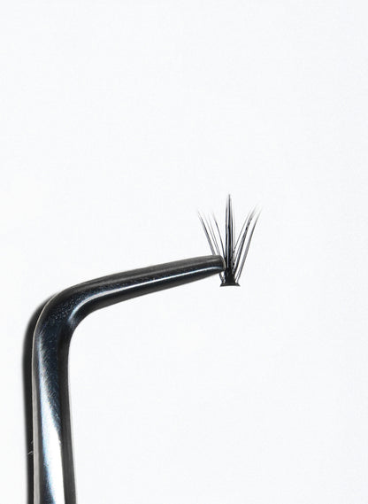 PRO.LASH: SPIKE